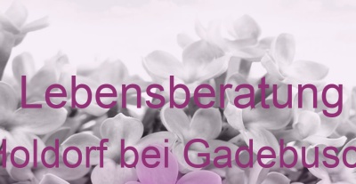 Lebensberatung Holdorf bei Gadebusch | Top-Experten für Kartenlegen, Wahrsagen, Hellsehen, Zukunftsdeutung. Lebensberatung Holdorf bei Gadebusch | Top-Experten für Kartenlegen, Wahrsagen, Hellsehen, Zukunftsdeutung.